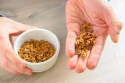 La Propolis