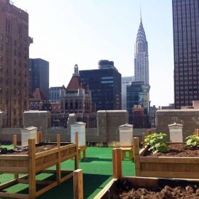 Les ruches en milieu urbain
