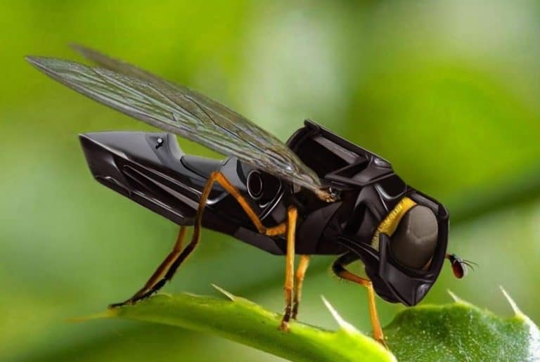 Les abeilles remplacées par des drônes