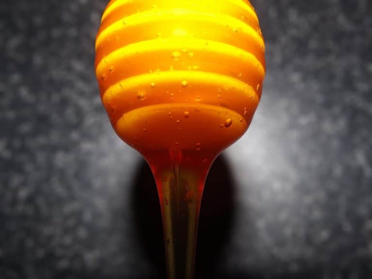 miel liquide et miel cristallisé