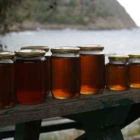 commercialisation de miels en pots