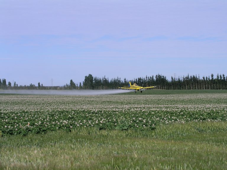 Epandage d'un insecticide néonics par avion.