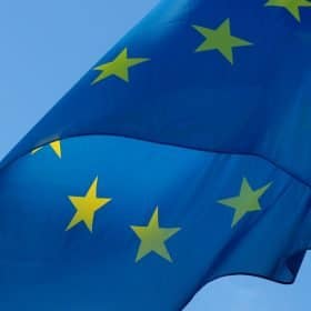 L' Europe au chevet des abeilles et des apiculteurs