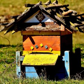 Ruche en bois : le bilan annuel de la colonie est impressionnant.